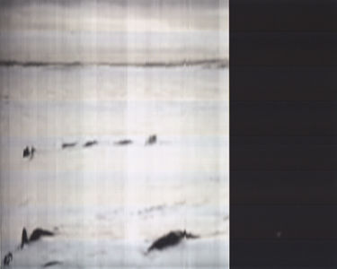 SCANTRIFIED MOVIE NANOOK OF THE NORTH #248, 2014, Digital C-print, Dimensions Variable
