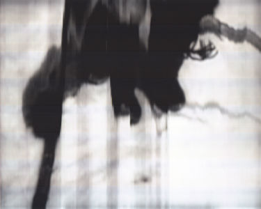 SCANTRIFIED MOVIE NANOOK OF THE NORTH #252, 2014, Digital C-print, Dimensions Variable
