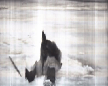SCANTRIFIED MOVIE NANOOK OF THE NORTH #257, 2014, Digital C-print, Dimensions Variable