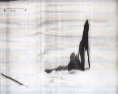 SCANTRIFIED MOVIE NANOOK OF THE NORTH #262, 2014, Digital C-print, Dimensions Variable