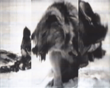 SCANTRIFIED MOVIE NANOOK OF THE NORTH #282, 2014, Digital C-print, Dimensions Variable