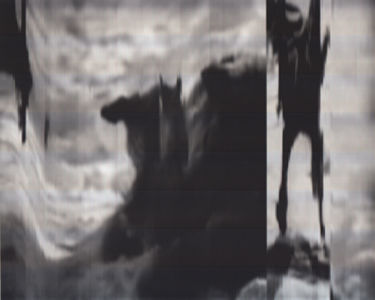 SCANTRIFIED MOVIE NANOOK OF THE NORTH #293, 2014, Digital C-print, Dimensions Variable