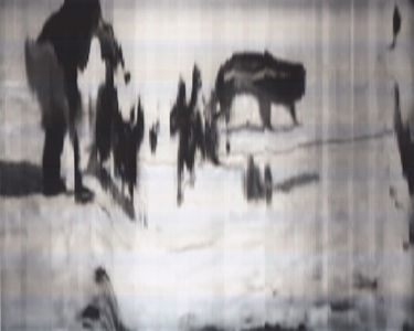 SCANTRIFIED MOVIE NANOOK OF THE NORTH #295, 2014, Digital C-print, Dimensions Variable