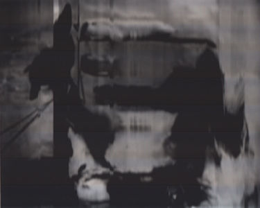 SCANTRIFIED MOVIE NANOOK OF THE NORTH #318, 2014, Digital C-print, Dimensions Variable