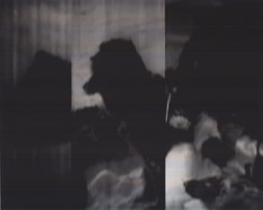 SCANTRIFIED MOVIE NANOOK OF THE NORTH #325, 2014, Digital C-print, Dimensions Variable