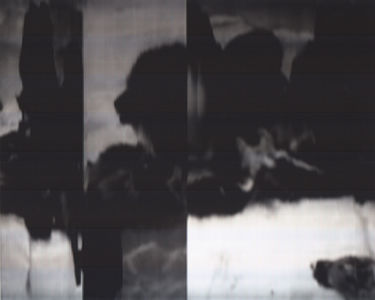SCANTRIFIED MOVIE NANOOK OF THE NORTH #326, 2014, Digital C-print, Dimensions Variable