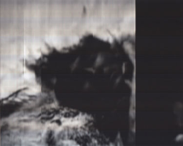 SCANTRIFIED MOVIE NANOOK OF THE NORTH #340, 2014, Digital C-print, Dimensions Variable