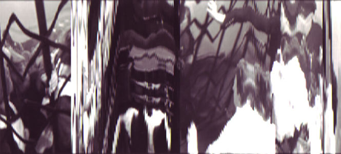 SCANTRIFIED MOVIE TITANIC #774, 2012, Digital C-print, Dimensions Variable