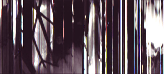 SCANTRIFIED MOVIE TITANIC #855, 2012, Digital C-print, Dimensions Variable