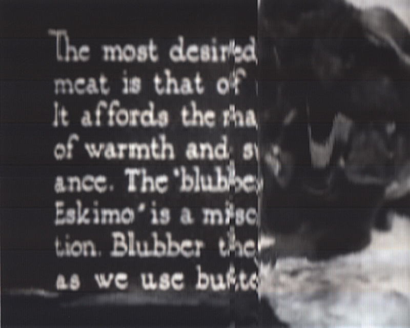 SCANTRIFIED MOVIE NANOOK OF THE NORTH #284, 2014, Digital C-print, Dimensions Variable