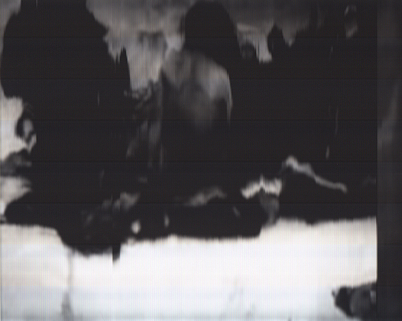 SCANTRIFIED MOVIE NANOOK OF THE NORTH #327, 2014, Digital C-print, Dimensions Variable
