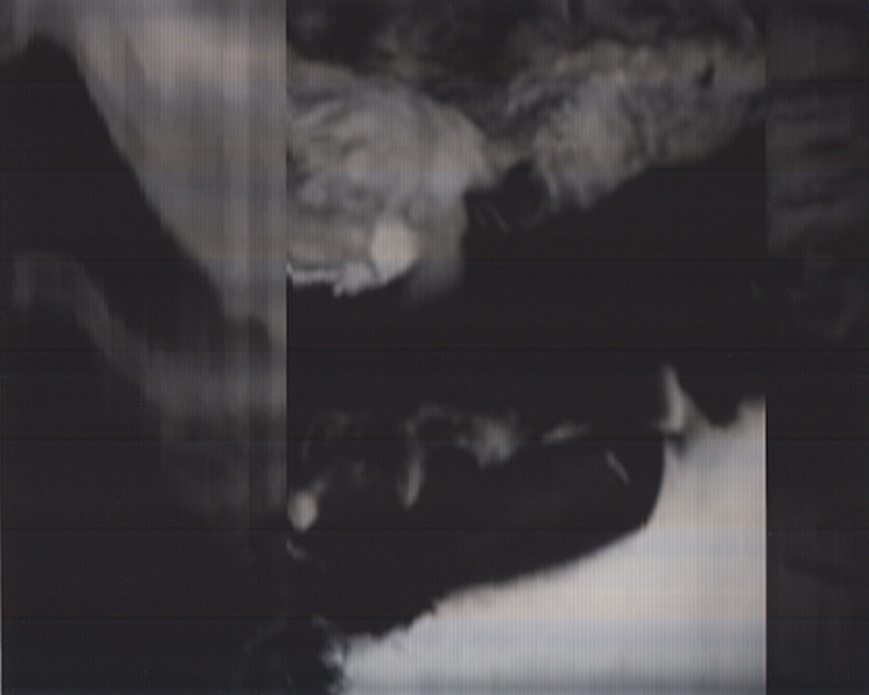 SCANTRIFIED MOVIE NANOOK OF THE NORTH #335, 2014, Digital C-print, Dimensions Variable